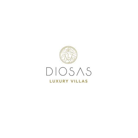 Diosas Luxury Villas Andipáta Buitenkant foto