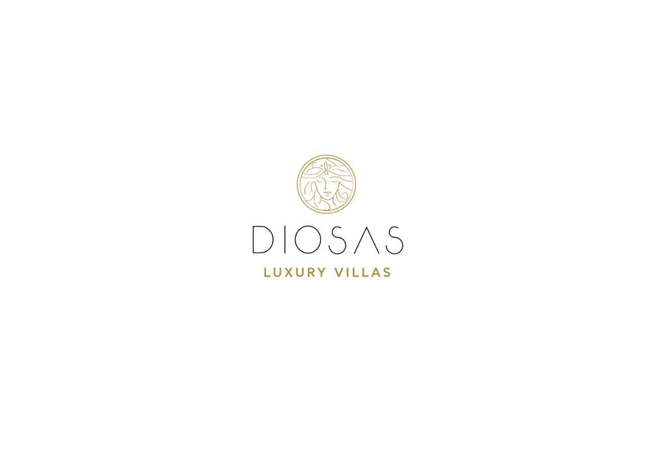 Diosas Luxury Villas Andipáta Buitenkant foto